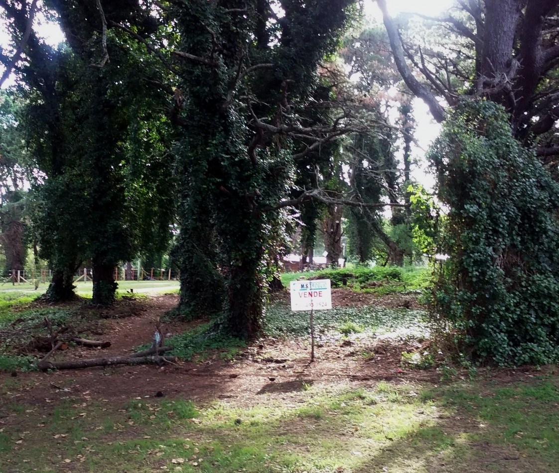 Lote de terreno en Sierras de los padres