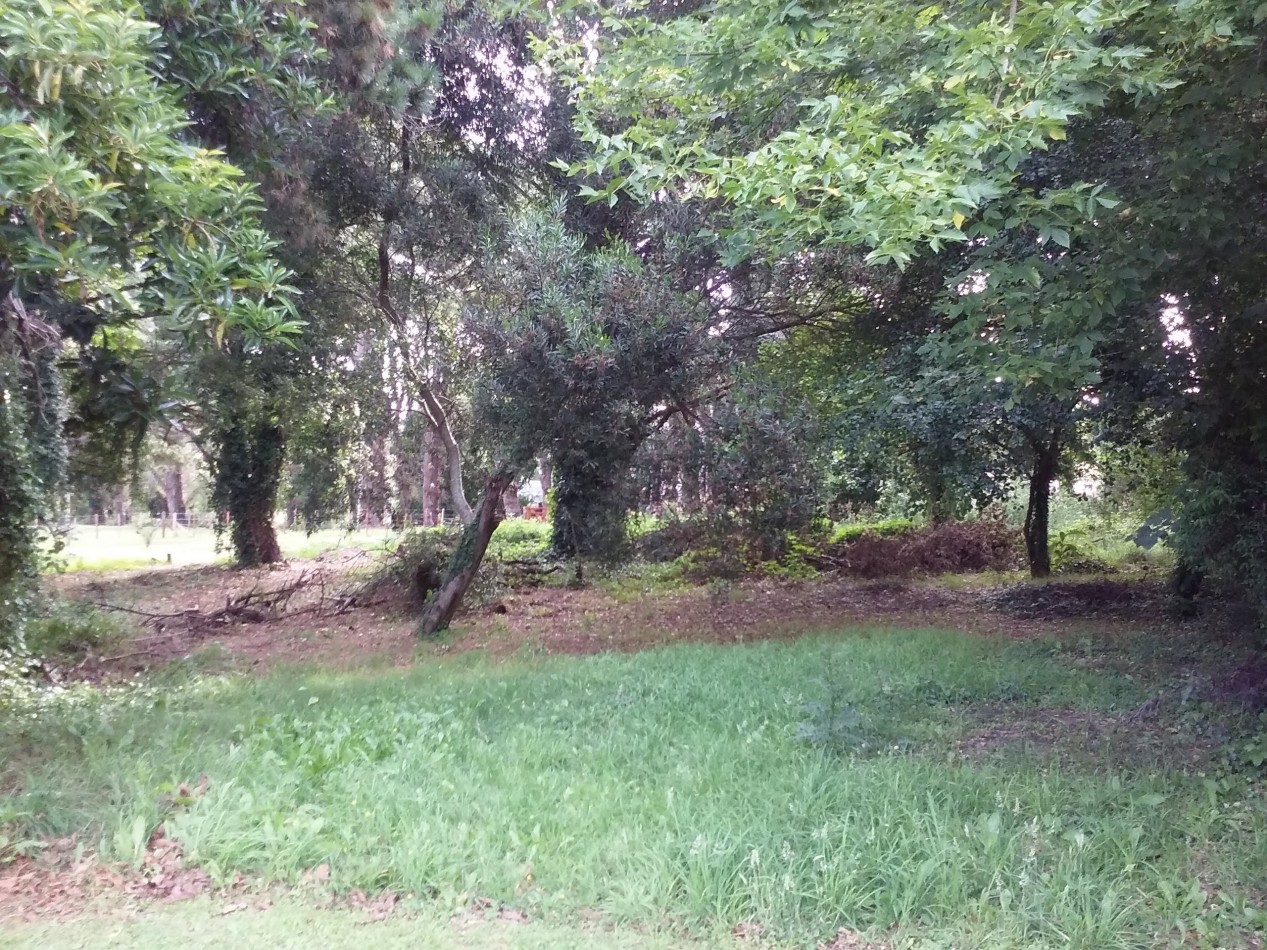 Lote de terreno en Sierras de los padres