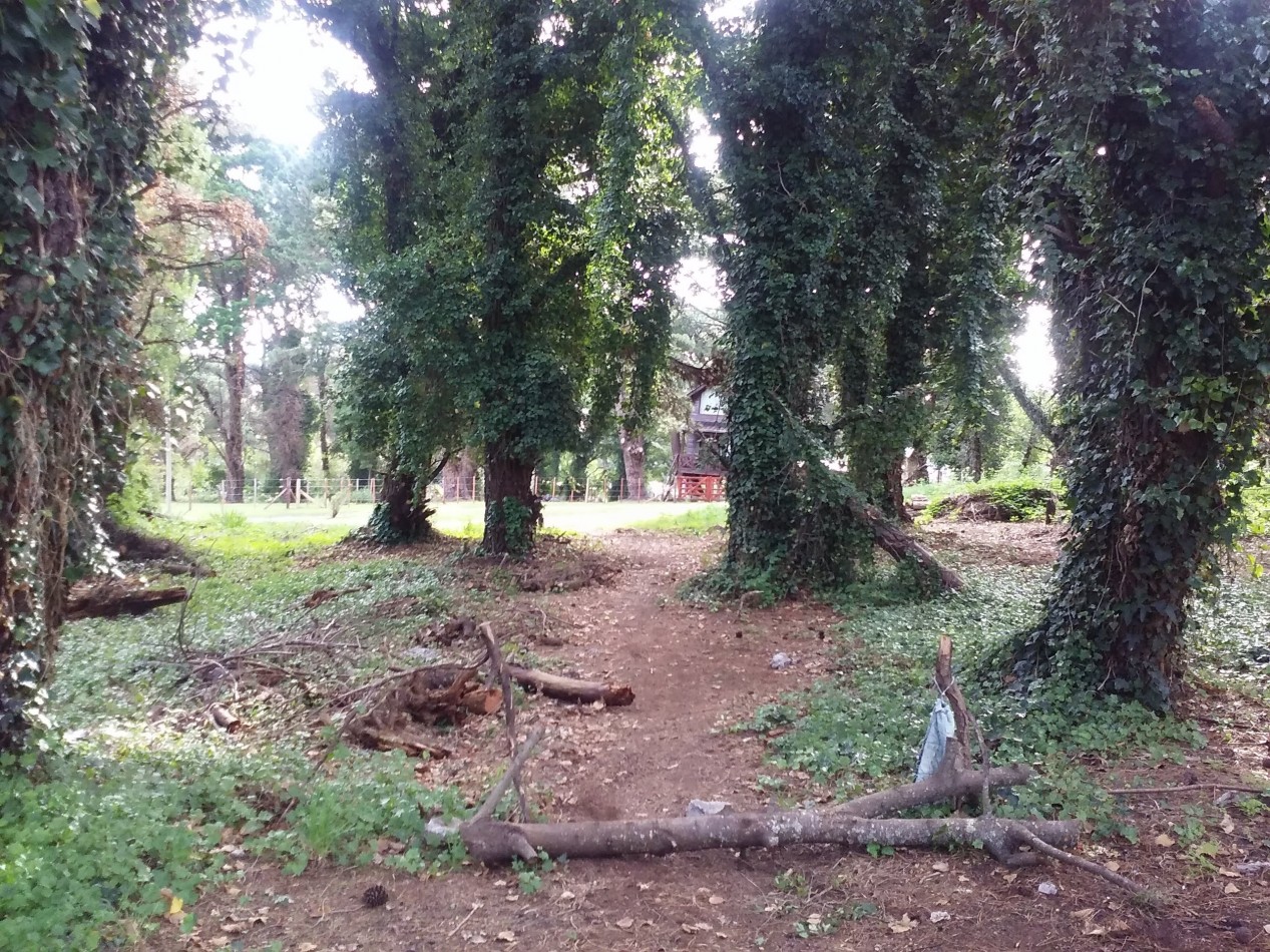 Lote de terreno en Sierras de los padres