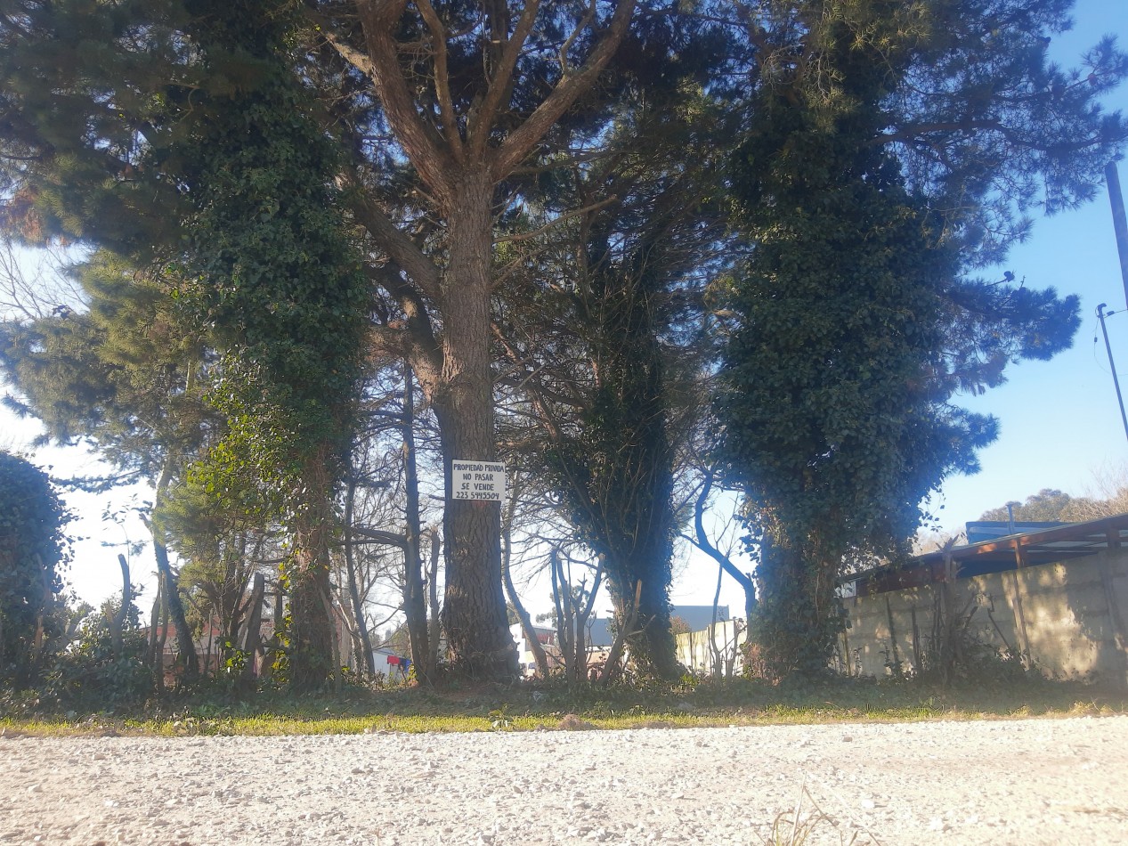 CESION DE DERECHOS, LOTE BARRIO 2 DE ABRIL.